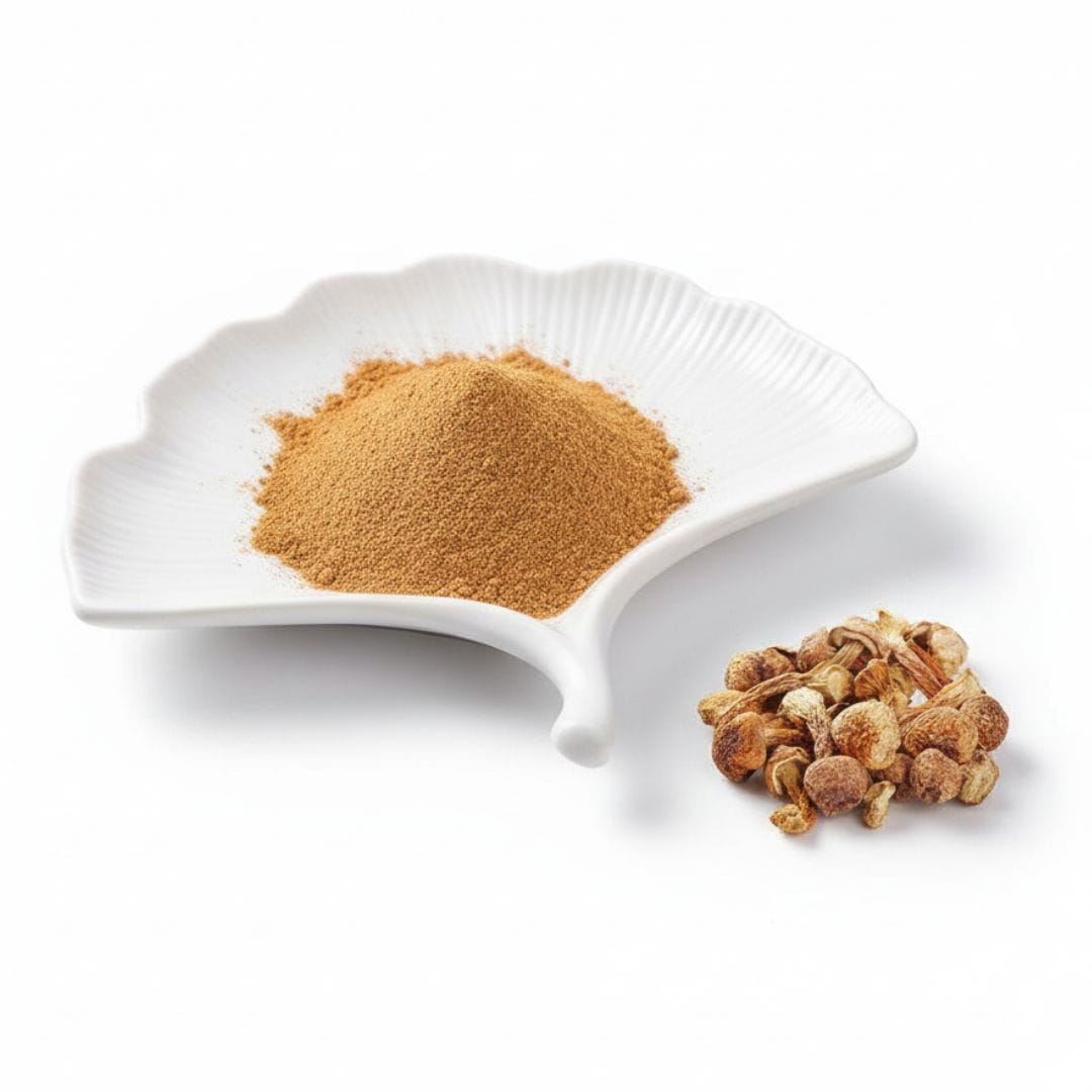 Agaricus Mushroom Powder