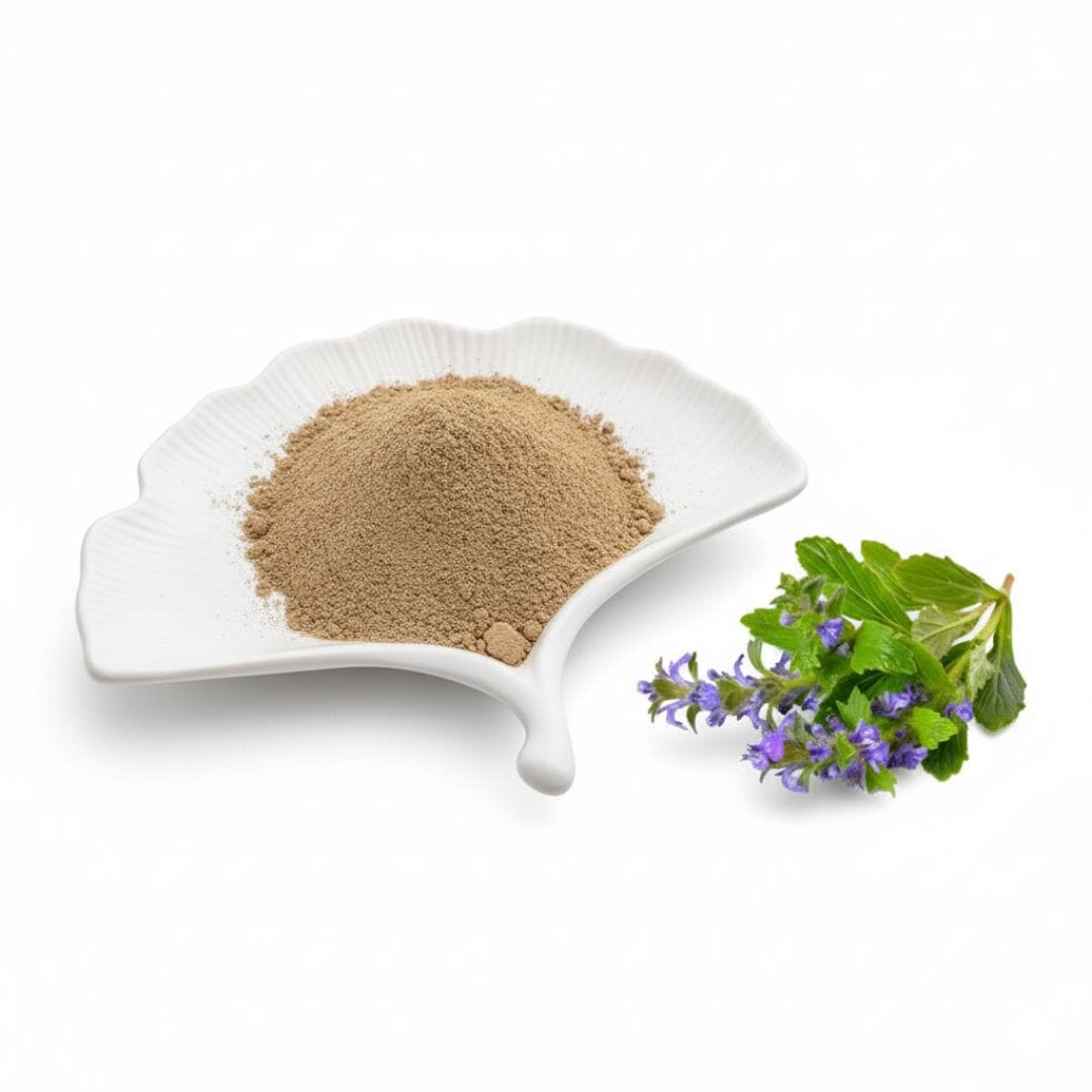 Ajuga Turkestanica Extract Powder