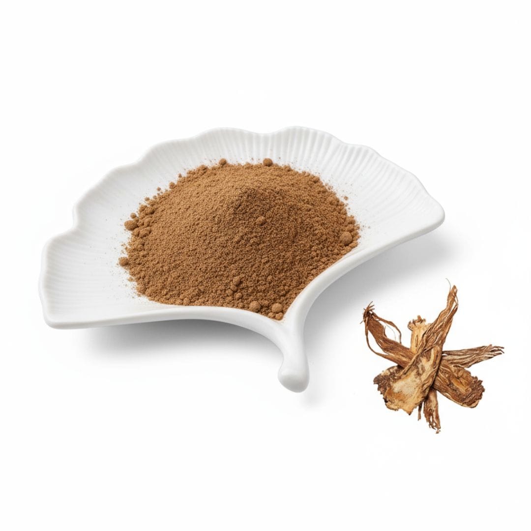 Angelica Root Extract Powder