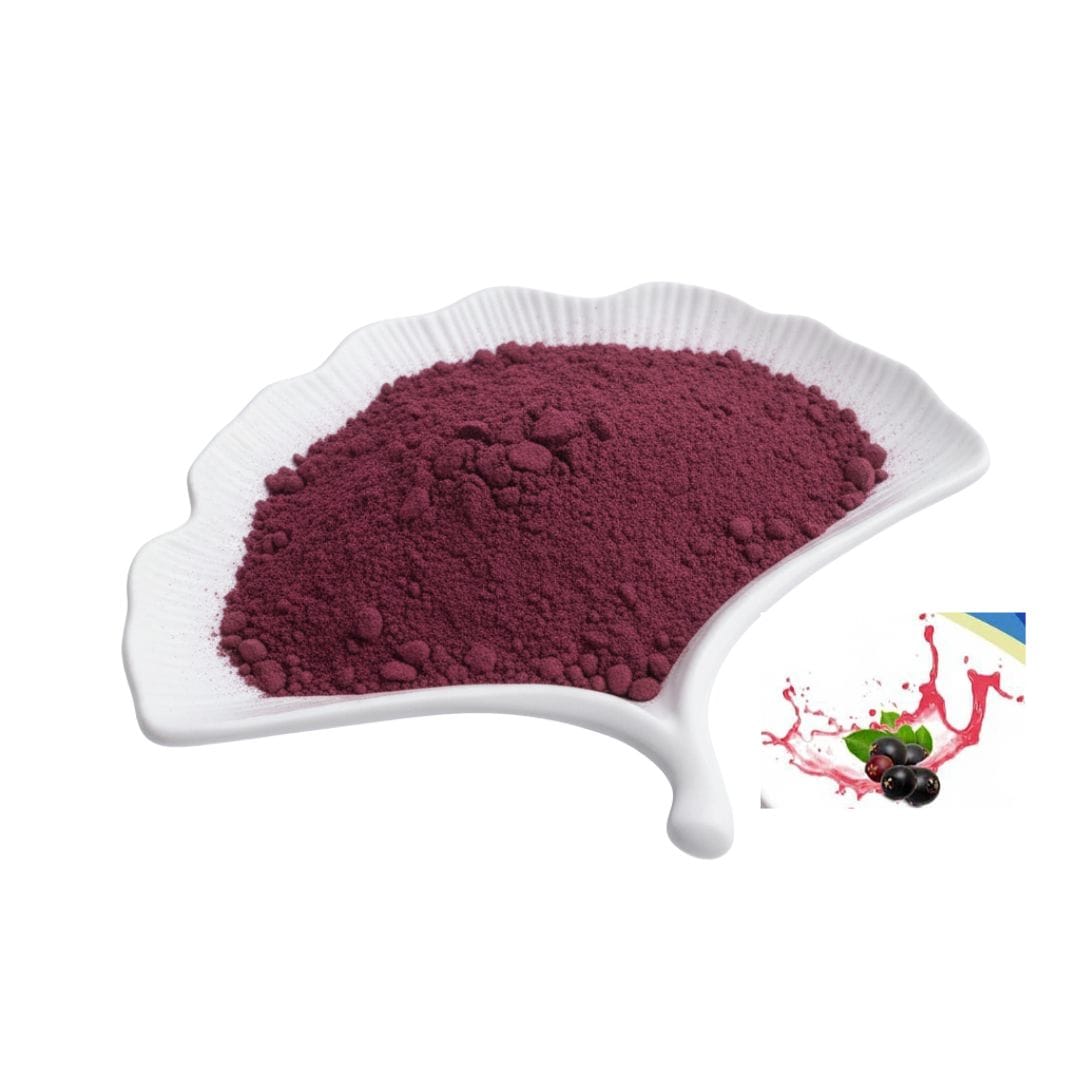 Black Elderberry Extract Powder
