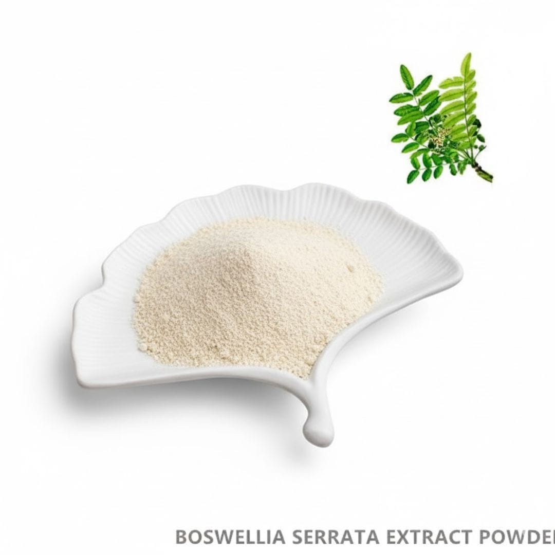 Boswellia Serrata Extract Powder