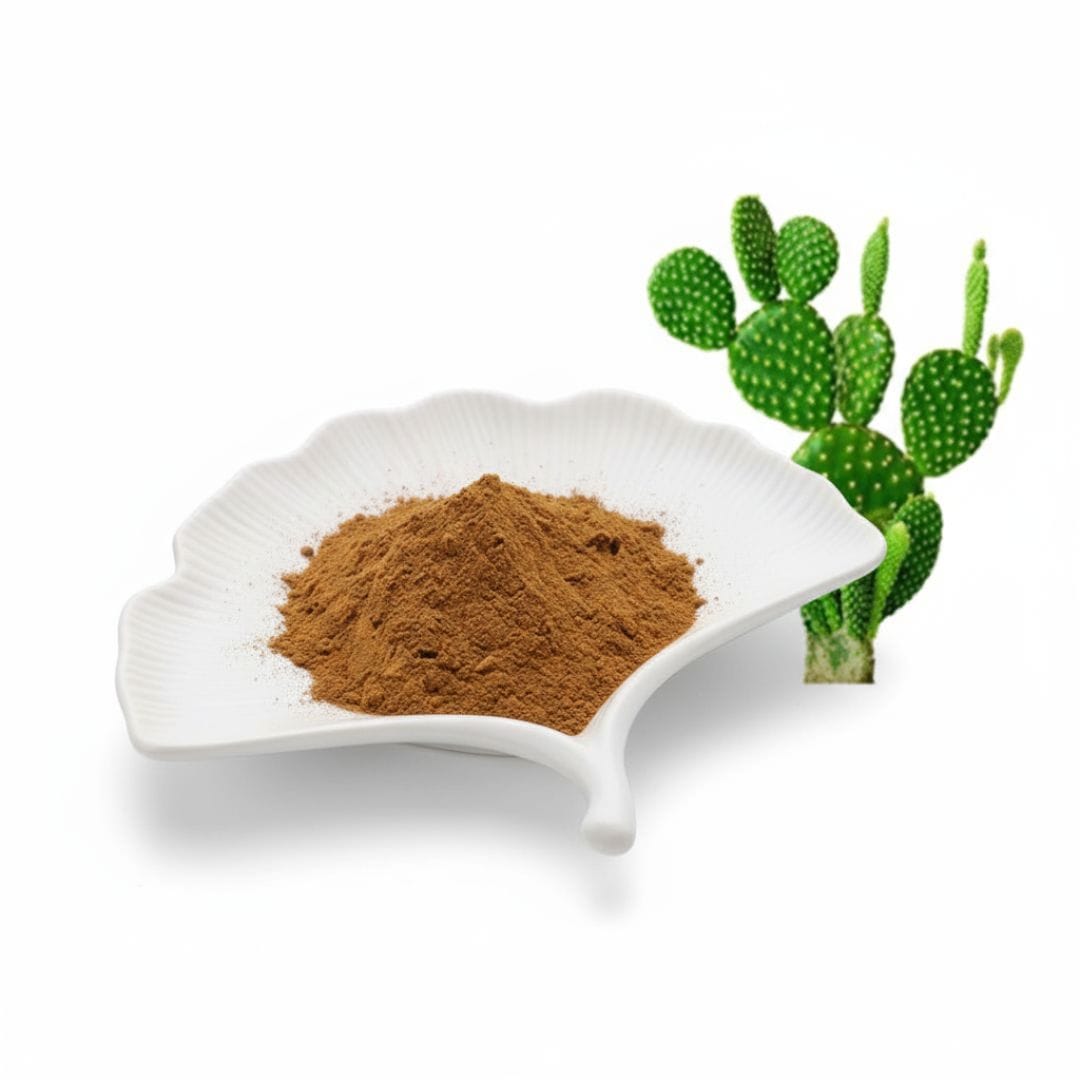 Cactus Extract Powder