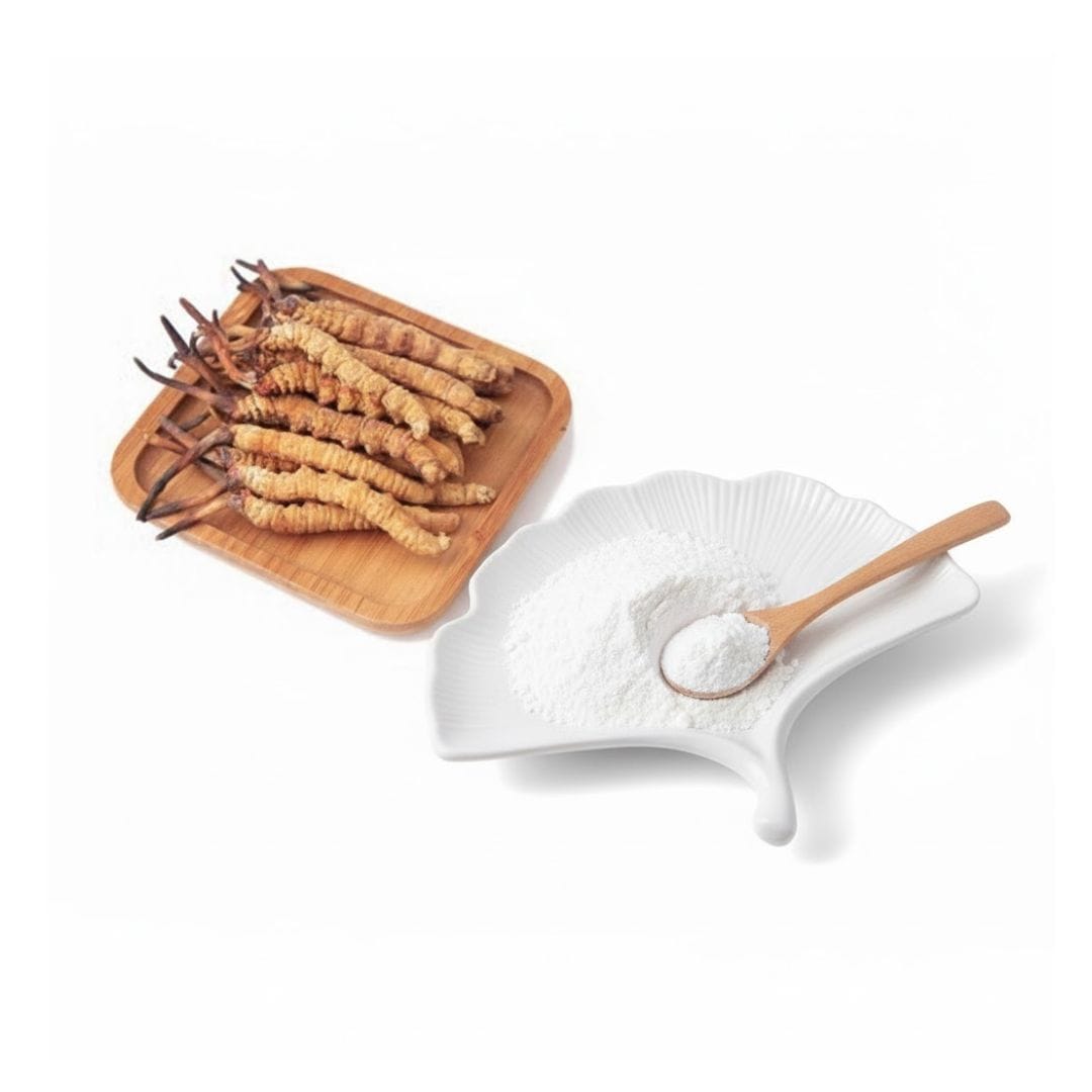 Cordycepin Powder
