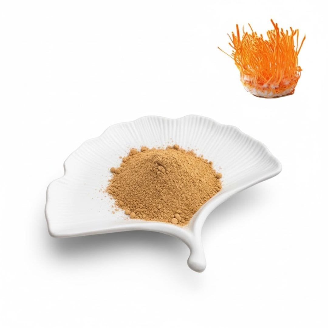 Cordyceps Militaris Extract Powder