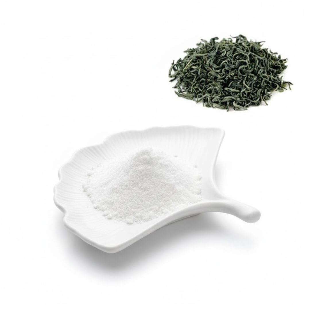 EGCG Powder