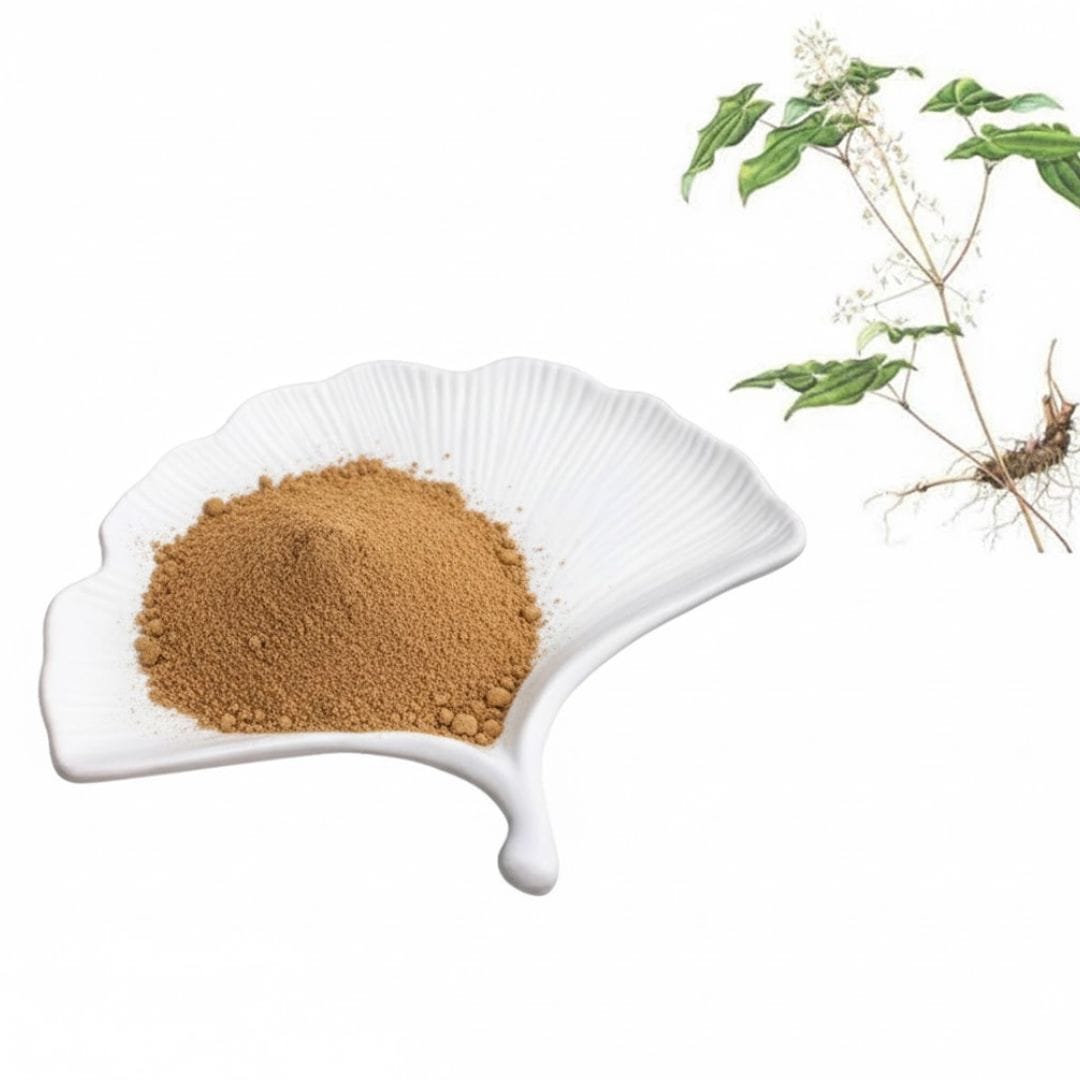 Epimedium Extract Powder