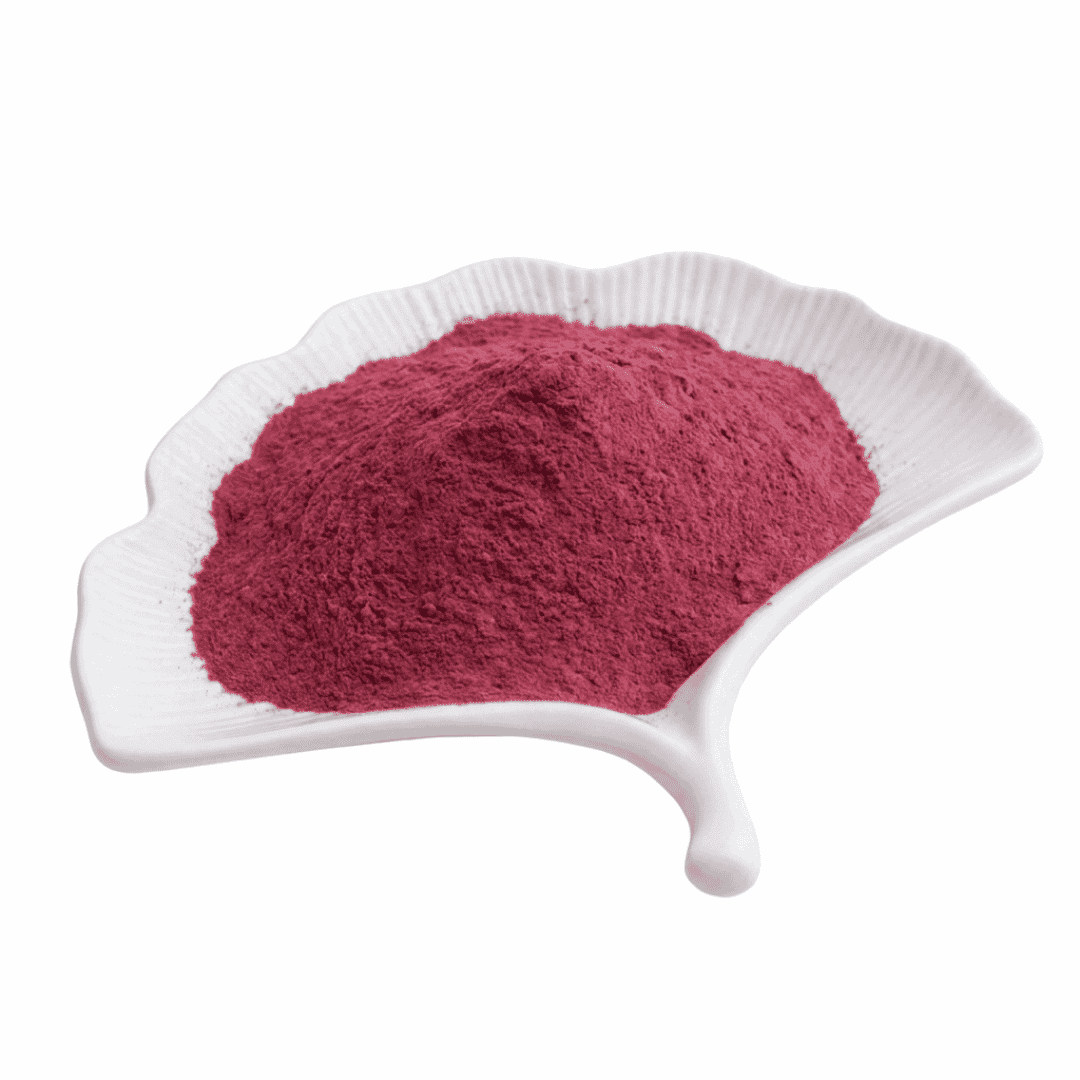 Natural Elderberry Extract Powder
