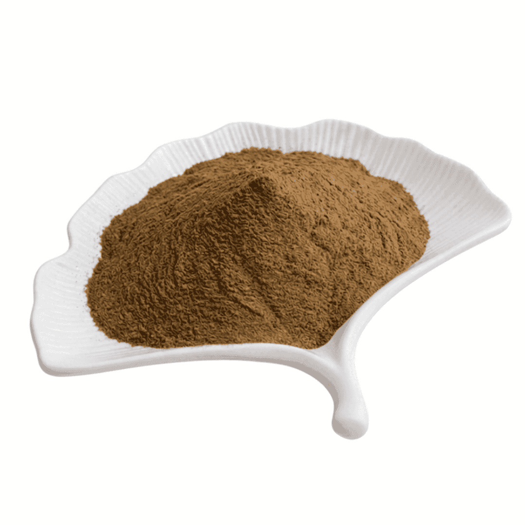 Organic Chaga Mushroom Extract Powder