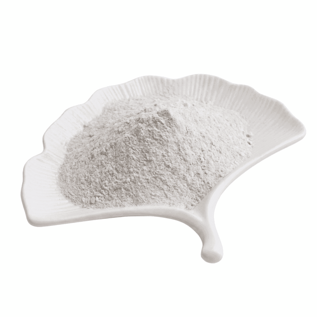 Organic Coconut Water Powder
